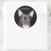 Rond Sticker Chihuahua MickeyElvis (Sac)