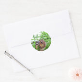Rond Sticker Chipmunk (Enveloppe)