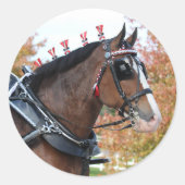 Rond Sticker Clydesdale (Devant)