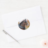 Rond Sticker Clydesdale (Enveloppe)