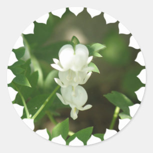 Rond Sticker Coeur Bleeding Blanc