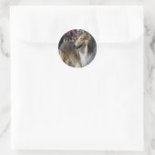 Rond Sticker Collie (Sac)