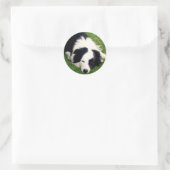 Rond Sticker Collie Bordure (Sac)