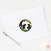 Rond Sticker Collie Bordure (Enveloppe)