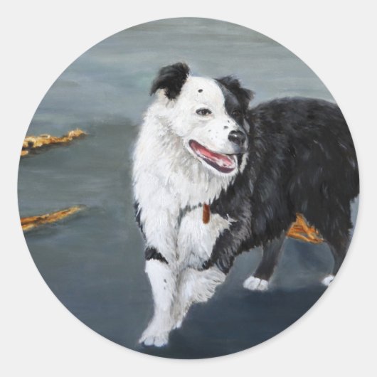 Rond Sticker Collie Bordure (Devant)