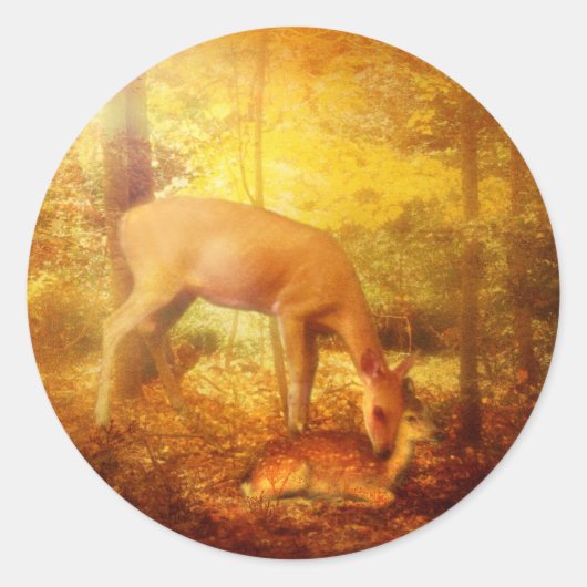 Rond Sticker Comfort My People (Devant)