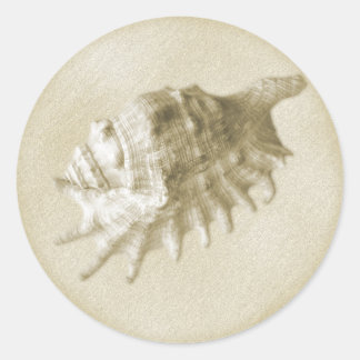 Rond Sticker Coquillages De Mariage De Plage (Or)