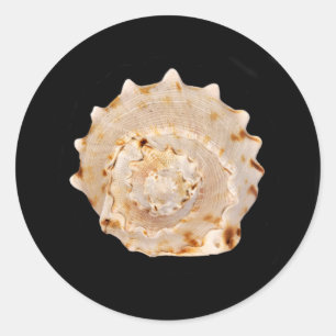 Rond Sticker Coquille