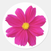 Rond Sticker Cosmos (Devant)