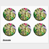 Rond Sticker couleur Pop (Feuille)