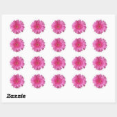 Rond Sticker couleur rose vif Gerber Daisy (Feuille)