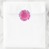 Rond Sticker couleur rose vif Gerber Daisy (Sac)