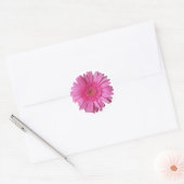 Rond Sticker couleur rose vif Gerber Daisy (Enveloppe)