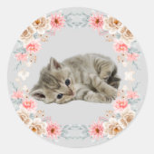 Rond Sticker Cute Kitten (Devant)