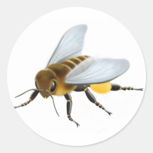 Rond Sticker d'abeille au miel