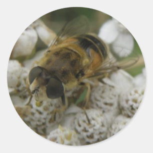 Rond Sticker d'abeille et de fleurs de miel