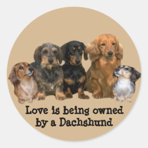 Rond Sticker Dachshund Gang