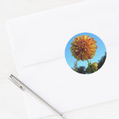 Rond Sticker Dahlia Jaune et Rouge