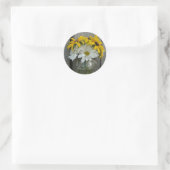 Rond Sticker Daisy & Black Eyed Susans (Sac)