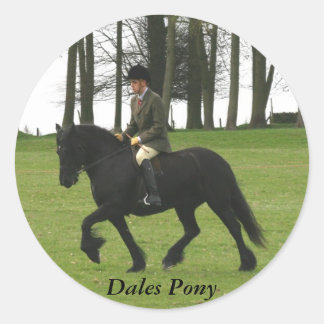 Rond Sticker Dales Pony