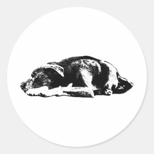 Rond Sticker d'art de Pose de Repose Pitbull Calme