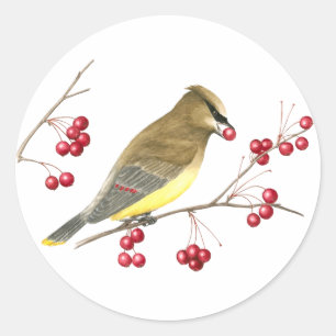 Rond Sticker d'art pour oiseaux de cèdre