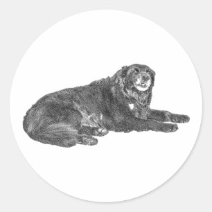 Rond Sticker de chien jouant dans le style de point com