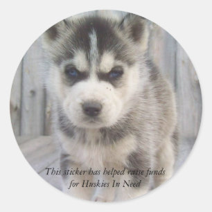 Rond Sticker de collecte de fonds