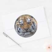 Rond Sticker de fermeture de brouillard photo Tiger (Enveloppe)