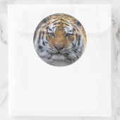 Rond Sticker de fermeture de brouillard photo Tiger (Sac)
