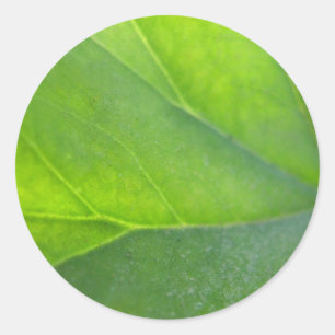 Rond Sticker de fermeture feuille