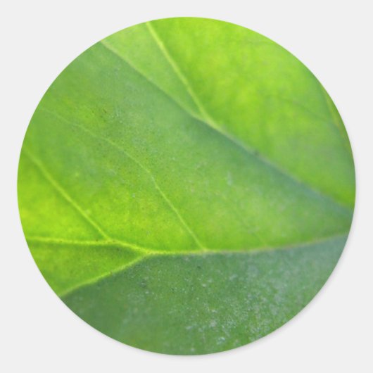 Rond Sticker de fermeture feuille (Devant)