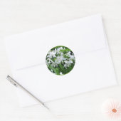 Rond Sticker de fougères et de fleurs (Enveloppe)
