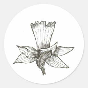 Rond Sticker de jonquille