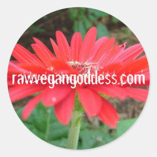 Rond Sticker de marguerite