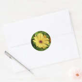 Rond Sticker de marguerite jaune (Enveloppe)
