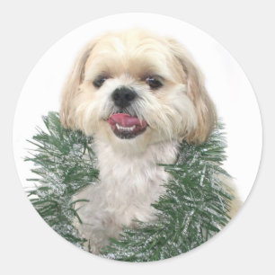 Rond sticker de Noël Shih Tzu