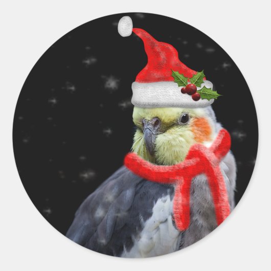 Rond Sticker de Noël très Berry (Devant)