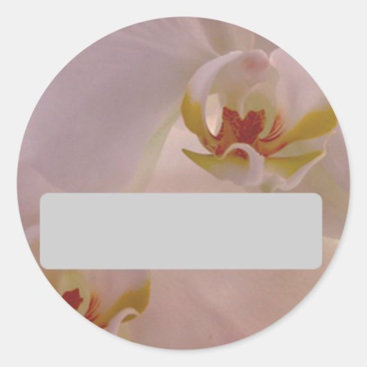 Rond Sticker de nom d'orchidée (Devant)