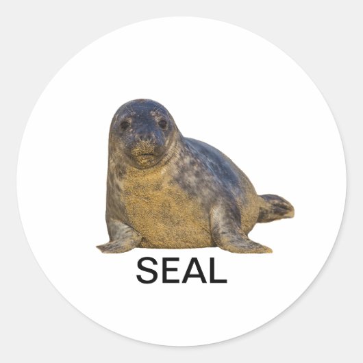 Rond Sticker de phoque 02 (Devant)