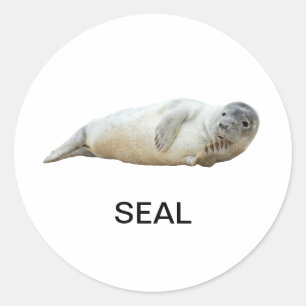Rond Sticker de phoque 03