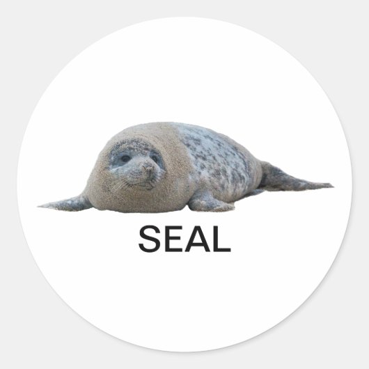 Rond Sticker de phoque 04 (Devant)