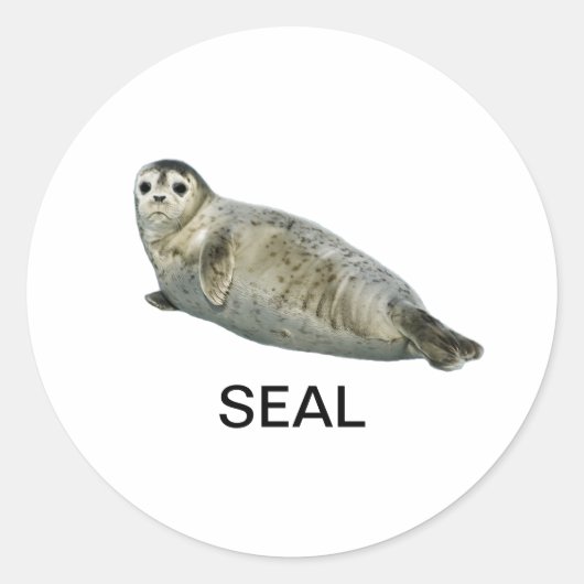 Rond Sticker de phoque 05 (Devant)