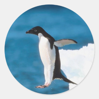 Rond Sticker de saut de pingouin