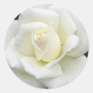 Rond Sticker de significations roses