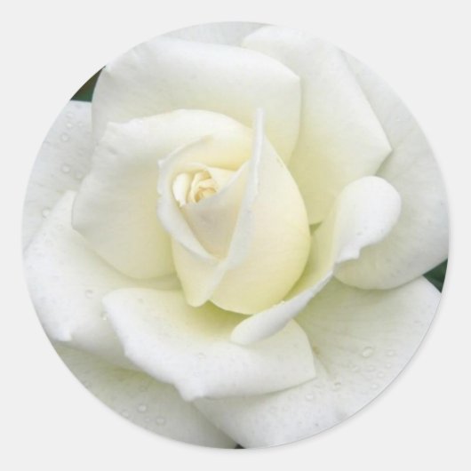 Rond Sticker de significations roses (Devant)