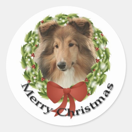 Rond Sticker de vacances no 3 Sheltie (Devant)