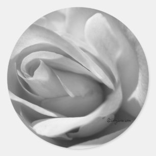 Rond Sticker d'enveloppe de Mariage Misty Grey