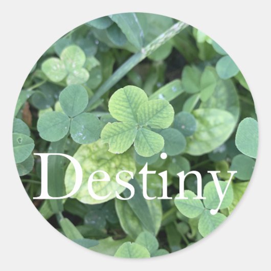 Rond Sticker Destiny  (Devant)