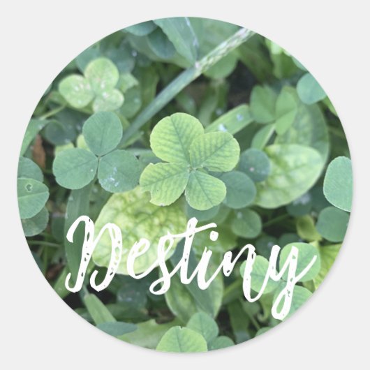 Rond Sticker Destiny  (Devant)